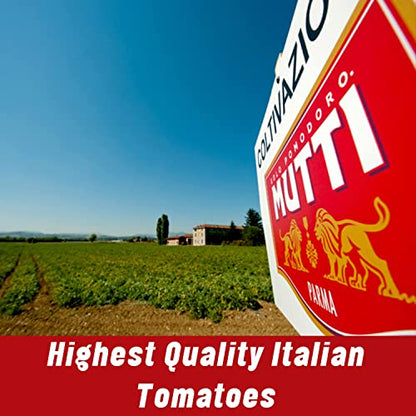 Mutti Double Concentrated Tomato Paste (Doppio Concentrato), 4.5 oz. Tube | 12 Pack | Italy’s #1 Brand of Tomatoes | Tube Tomato Paste | Vegan Friendly & Gluten Free | No Additives or Preservatives